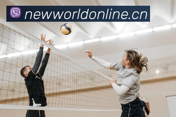 多媒体互动体验